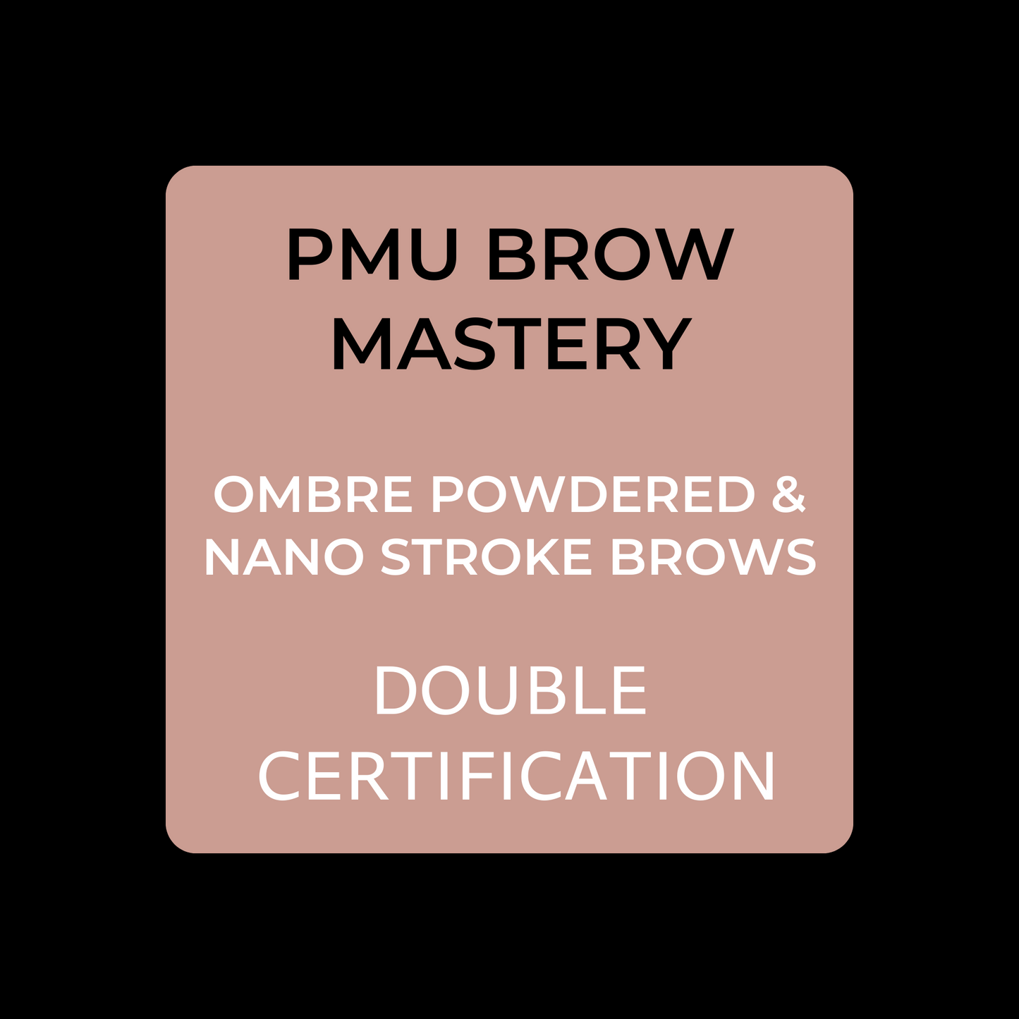 PMU BROW MASTER CLASS